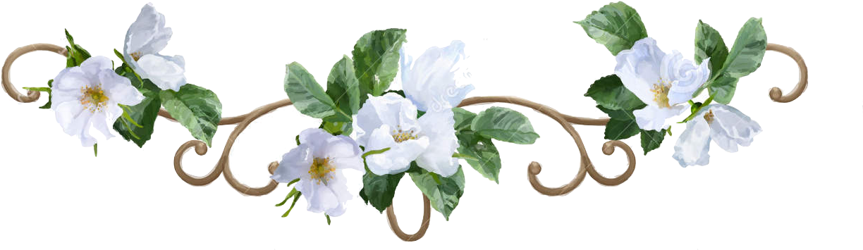 Inspirational Quotes To Keep You Motivated In Life white flower png image